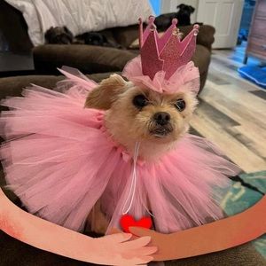 Meet your Posher, Crystal